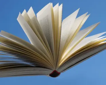 Read Nayantara Roy’s ‘Sisters of a Halved Heart’ in 7 Powerful Pages