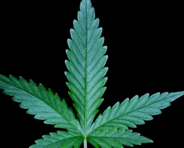 7 Ways to Kill Weeds on Sidewalks & Patios Fast!