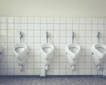 7 Best Pressure-Assisted Toilets for Modern Bathrooms