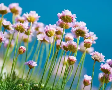 These 5 Outdoor Decor Pieces Are Always Thriftable