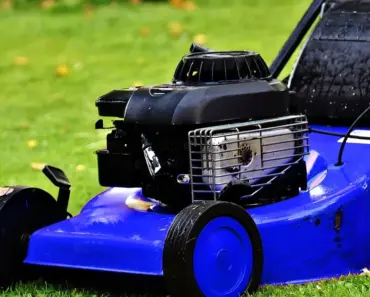Follow 5 Lawn Mowing Rules for More Peaceful Neighborhood