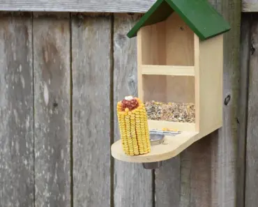 Bird Feeders: 11 Best-Selling to Shop at Amazon
