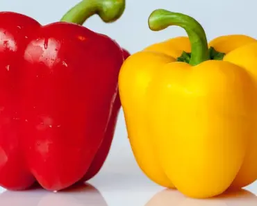 11 Essential Steps to Harvest Any Pepper Perfectly