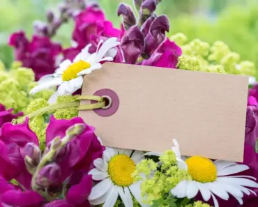 33 Funny, Sweet & Sentimental Things to Say on a Card