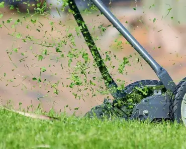 7 Signs Your Lawn Mower Should Be Sharpened Often