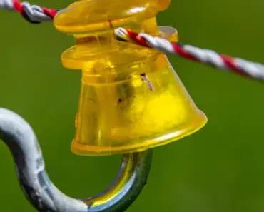 5 Safe Ways to Cap Electrical Wires