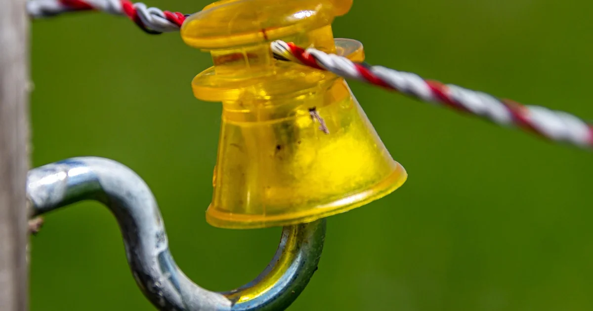5 Safe Ways to Cap Electrical Wires capping electrical wires
