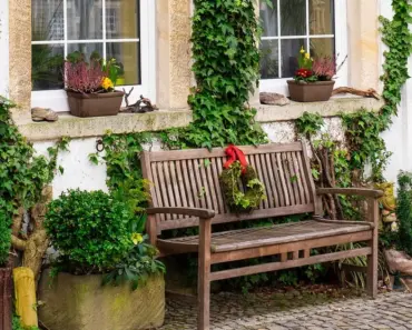 5 Front Yard Plants That Say More Than You Think