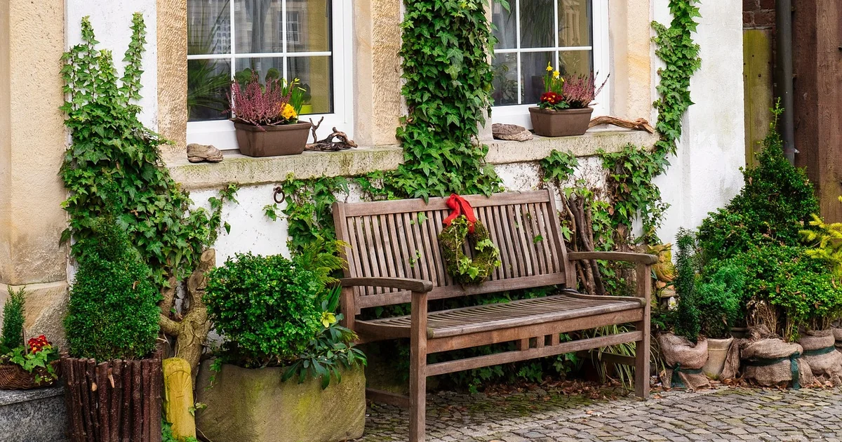 5 Front Yard Plants That Say More Than You Think front yard plant meanings