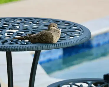 Simple Ways to Romanticize Your Patio This Summer