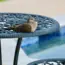 Simple Ways to Romanticize Your Patio This Summer