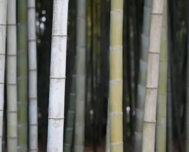 9 Best Bamboo Pajamas, Per BHG Editors