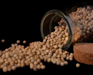 5 Best White Pepper Substitutes to Use Instead