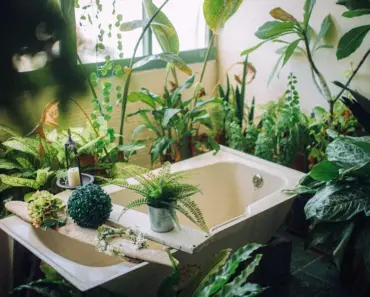 5 Reasons to Snap a Photo of Your Bathroom Before Leaving