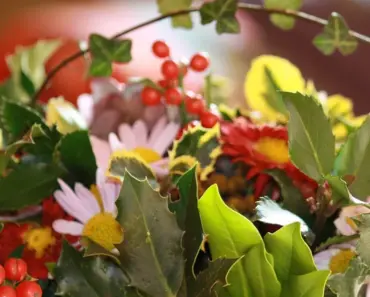 11 Colorful Foliage Plants for Lasting Fall Containers
