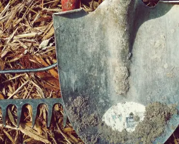 7 Best Garden Shovels Editors Tested & Recommend