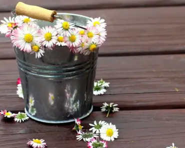 Forget December: 5 Ways May Breaks Moms