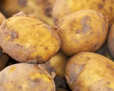 How & When to Harvest Potatoes: 7 Tips
