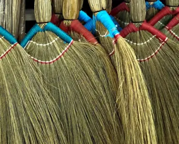 7 Best Lawn Sweepers Spruce Tested