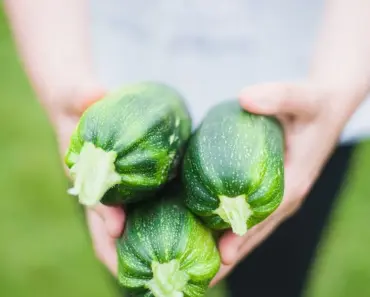 5 Secrets to Stake & Prune Zucchini Plants