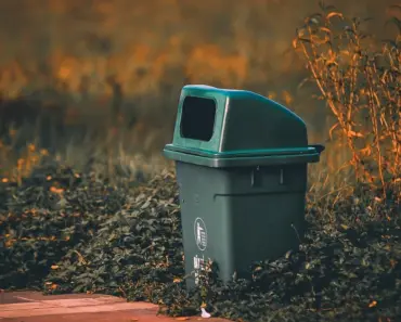 7 Smart Ways to Conceal Outdoor Trash Cans & Boost Curb Appeal
