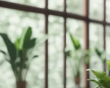 Indoor Plants: It Finally Dawned on Me Why I Was Failing