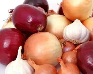 7 Plants to Grow with Onions for Better Growth & Fewer Pests
