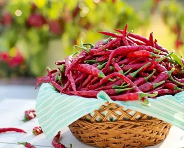 Does Cayenne Pepper Deter Squirrels? Experts Weigh In