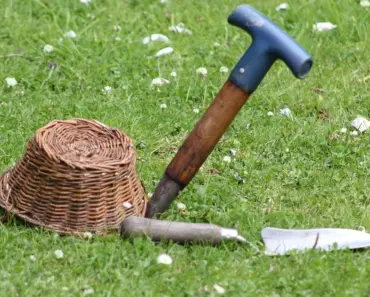 The Spruce Tested 7 Best Garden Trowels