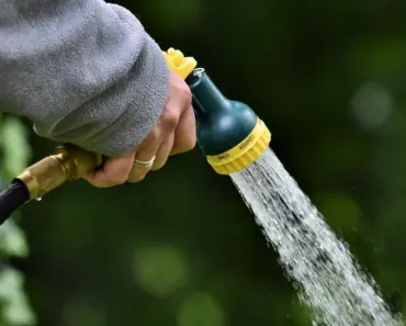 Best Watering Wands: 5 Editors Recommend for You!