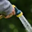 Best Watering Wands: 5 Editors Recommend for You!
