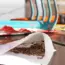 7 Seeds to Skip Starting in the Greenhouse (Grow Outside!)