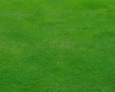 Yes, You Should: 5 Steps to Replace Lawn Mower Air Filter