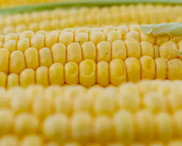 7 BHG Most Saved Corn Recipes You’ll Love!