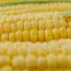 7 BHG Most Saved Corn Recipes You’ll Love!