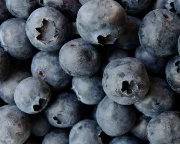 9 Tips for Creating Perfect Blueberry Soil pH