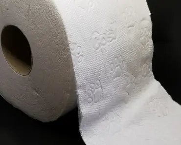 Ditch Baskets & Bins: 5 Better Toilet Paper Storage Ideas