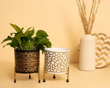 7 Reasons ALDI’s Rave Planter is Back & Selling Fast!