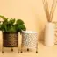 7 Reasons ALDI’s Rave Planter is Back & Selling Fast!