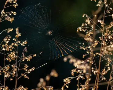 Spider-Noir Drama Has Viewers Hooked in Minutes