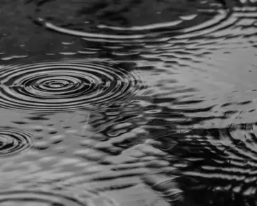 7 Best Rain Gauges Our Editors Love