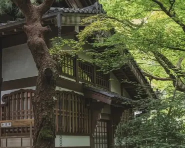 11 Zen Garden Ideas to Bring Peace to Your Yard