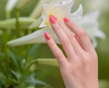 June Manicure Ideas for Summer Inspiration