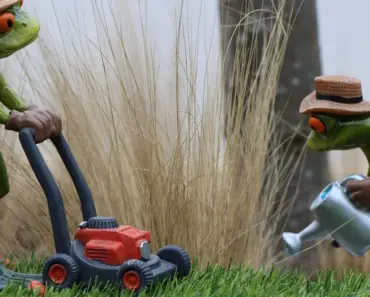 The Best Self-Propelled Lawn Mowers Tested and Reviewed The Best Self-Propelled Lawn Mowers Tested and Reviewed