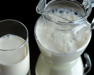15 Milk Jug Mini Greenhouse Ideas for Starter Seeds