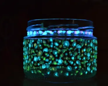 5 DIY Ways to Reuse an Old Glass Jar for Home Decor