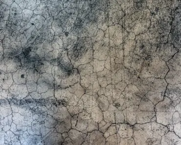 5 Easy Ways to Fill Small Cracks in Concrete Driveway
