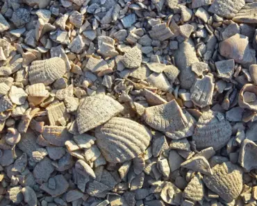 Say Goodbye to Grass Growing in Gravel