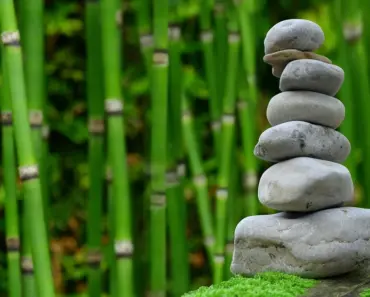 7 Wellness Stacking Tips to Build Healthy Habits