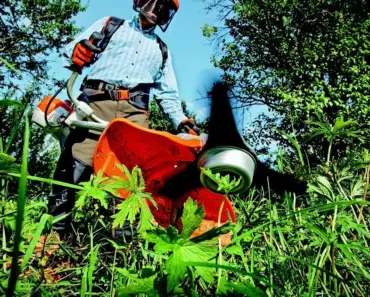 5 Smart Lawn Care Tips for Healthier Grass With Less Work